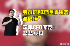 澧县要账公司更多成功案例详情